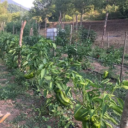 Valle Dei Pioppi * Acerno